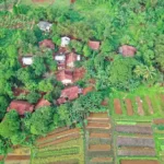 Pemandangan lahan pertanian dan desa di pedesaan Indonesia dari udara